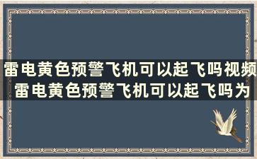 雷电黄色预警飞机可以起飞吗视频 雷电黄色预警飞机可以起飞吗为什么